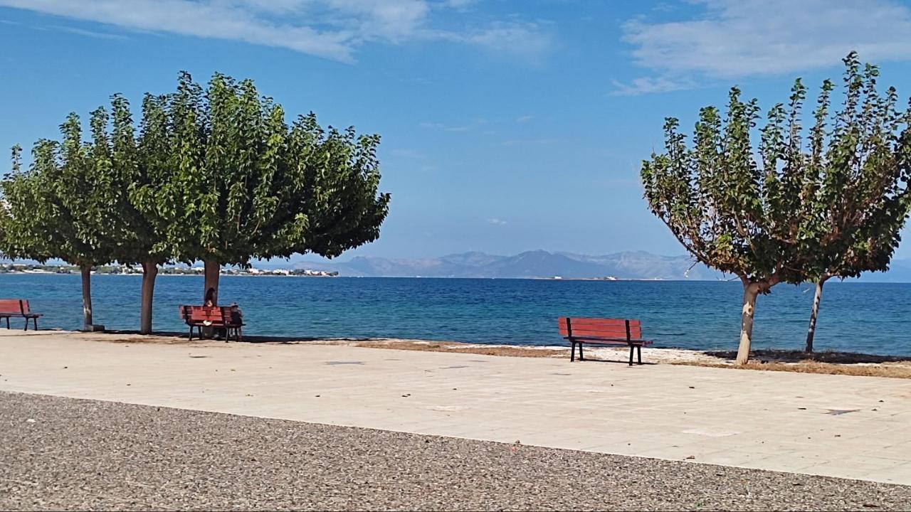 Beautiful Choice - Near Athens Airport - 50M From The Sea - Iq+ Apartment Artemida  Luaran gambar