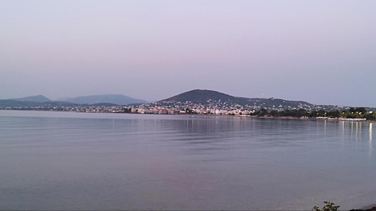 Beautiful Choice - Near Athens Airport - 50M From The Sea - Iq+ Apartment Artemida  Luaran gambar
