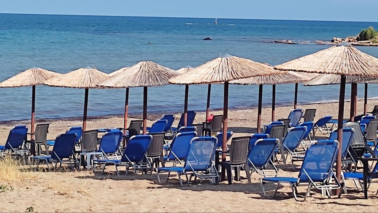 Beautiful Choice - Near Athens Airport - 50M From The Sea - Iq+ Apartment Artemida  Luaran gambar